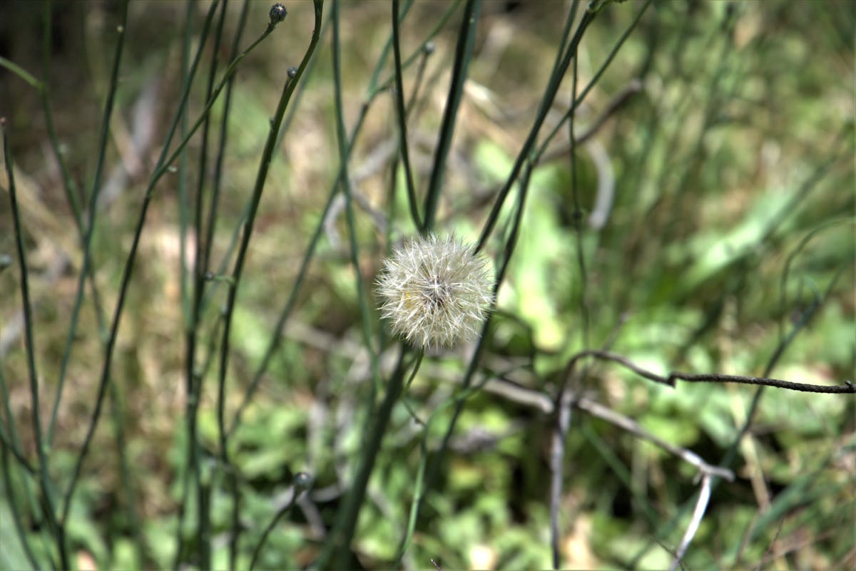 Raw chicken breast sliced into strips on a cutting board
