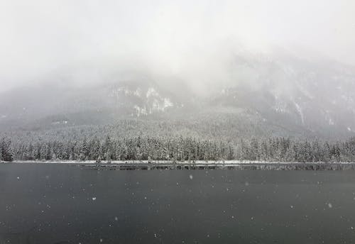 Snow Covered Trees Beside the Snow Covered Mountain