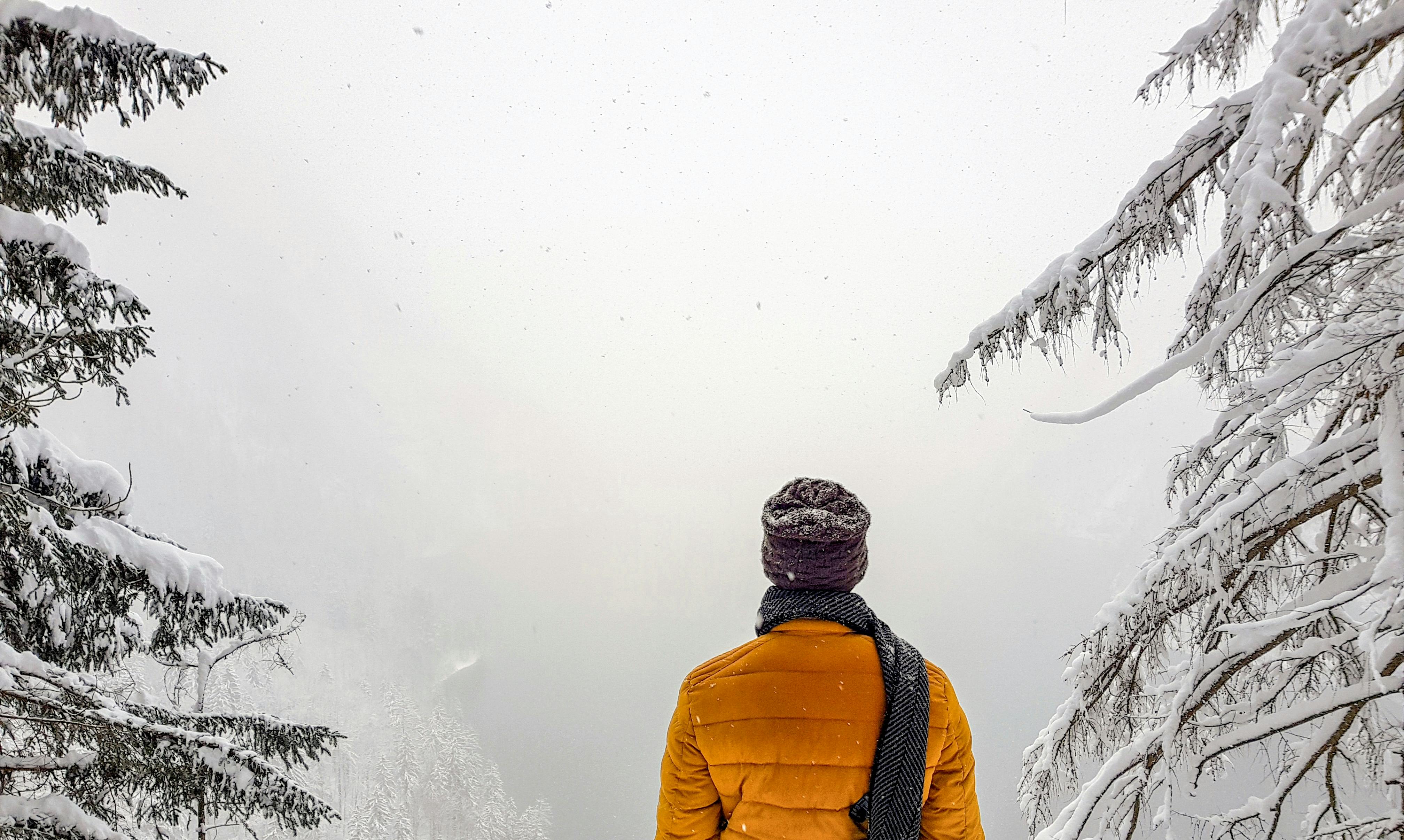 Faceless female tourist with rucksack enjoying lake from mount · Free ...