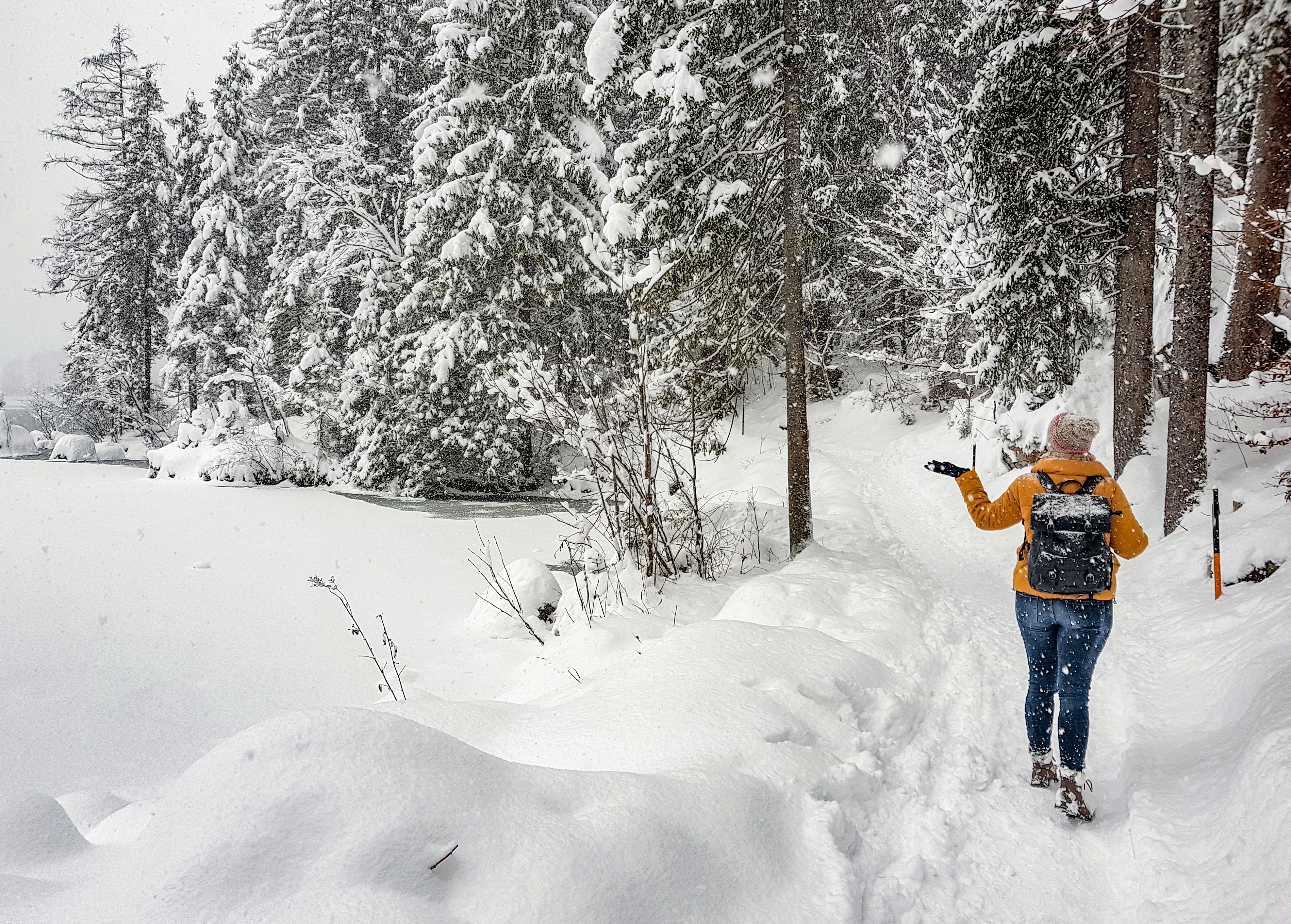Schal aus Merinowolle farbig — Empfehlung für Gemütliche Schals für den Winter