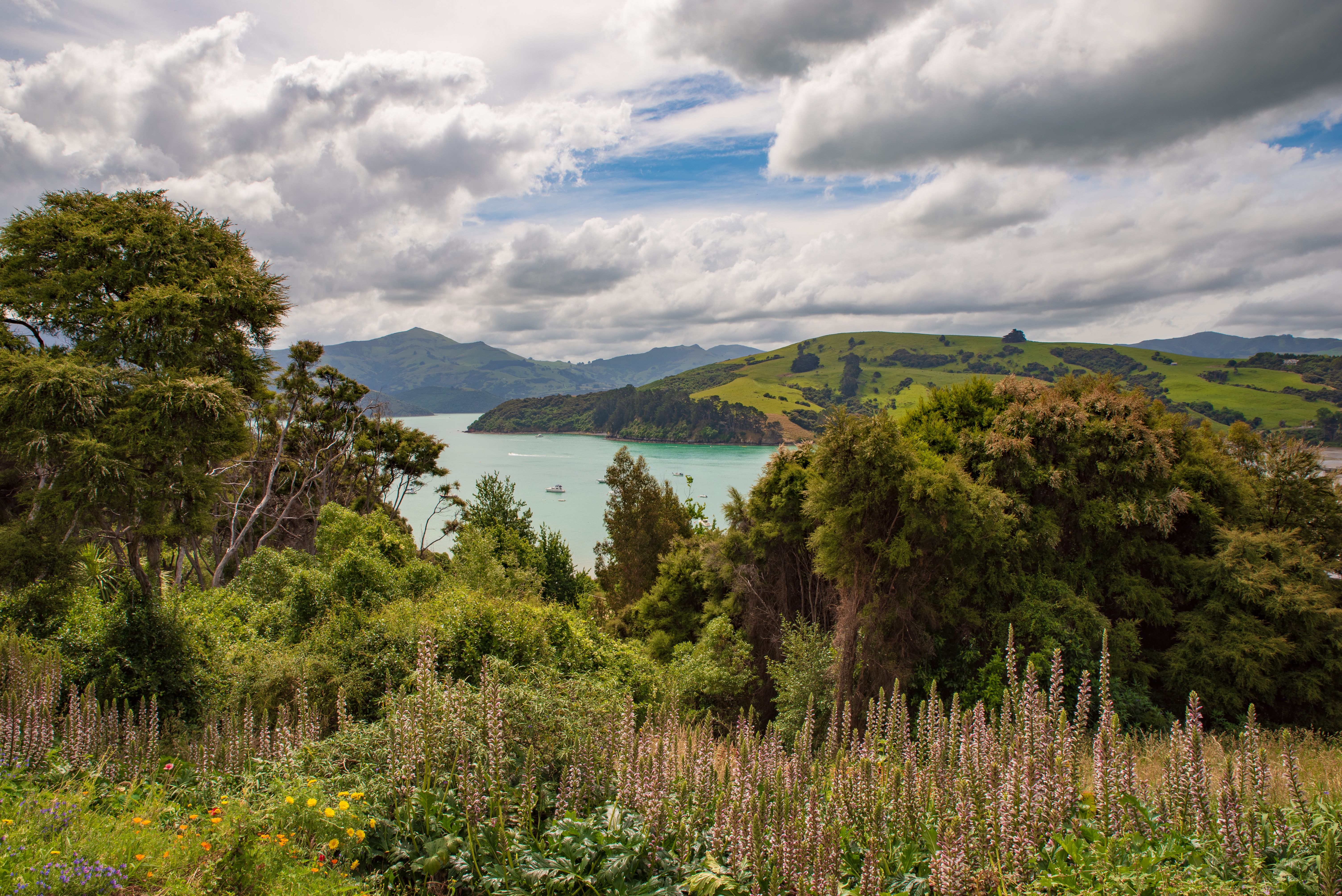 3 Day Personalized Yoga & Nature Retreat in New Zealand 2