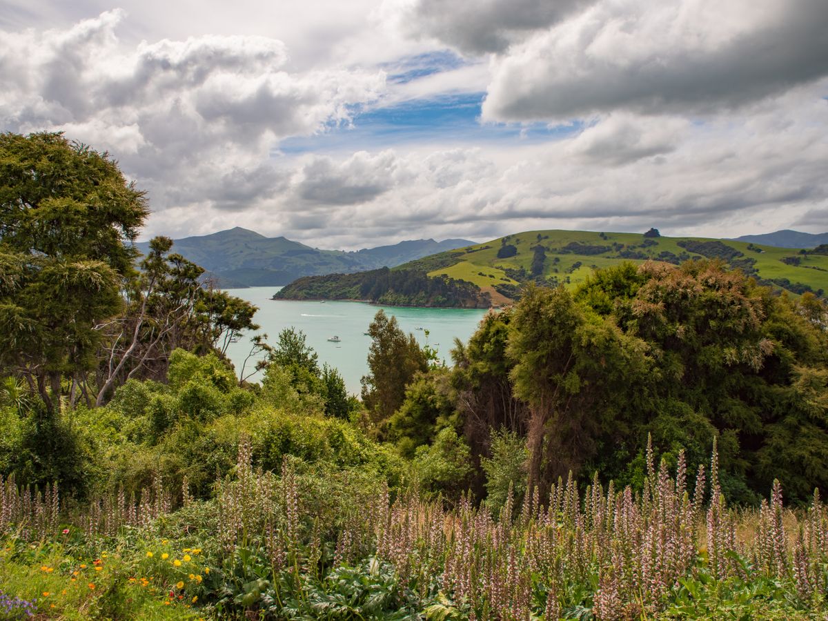 3 Day Personalized Yoga & Nature Retreat in New Zealand 2