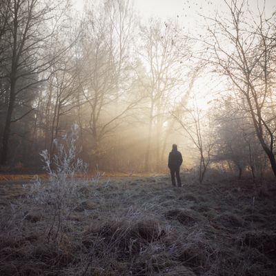 Walker in a frosty winter forest — photo by Rastislav Durica on Pexels