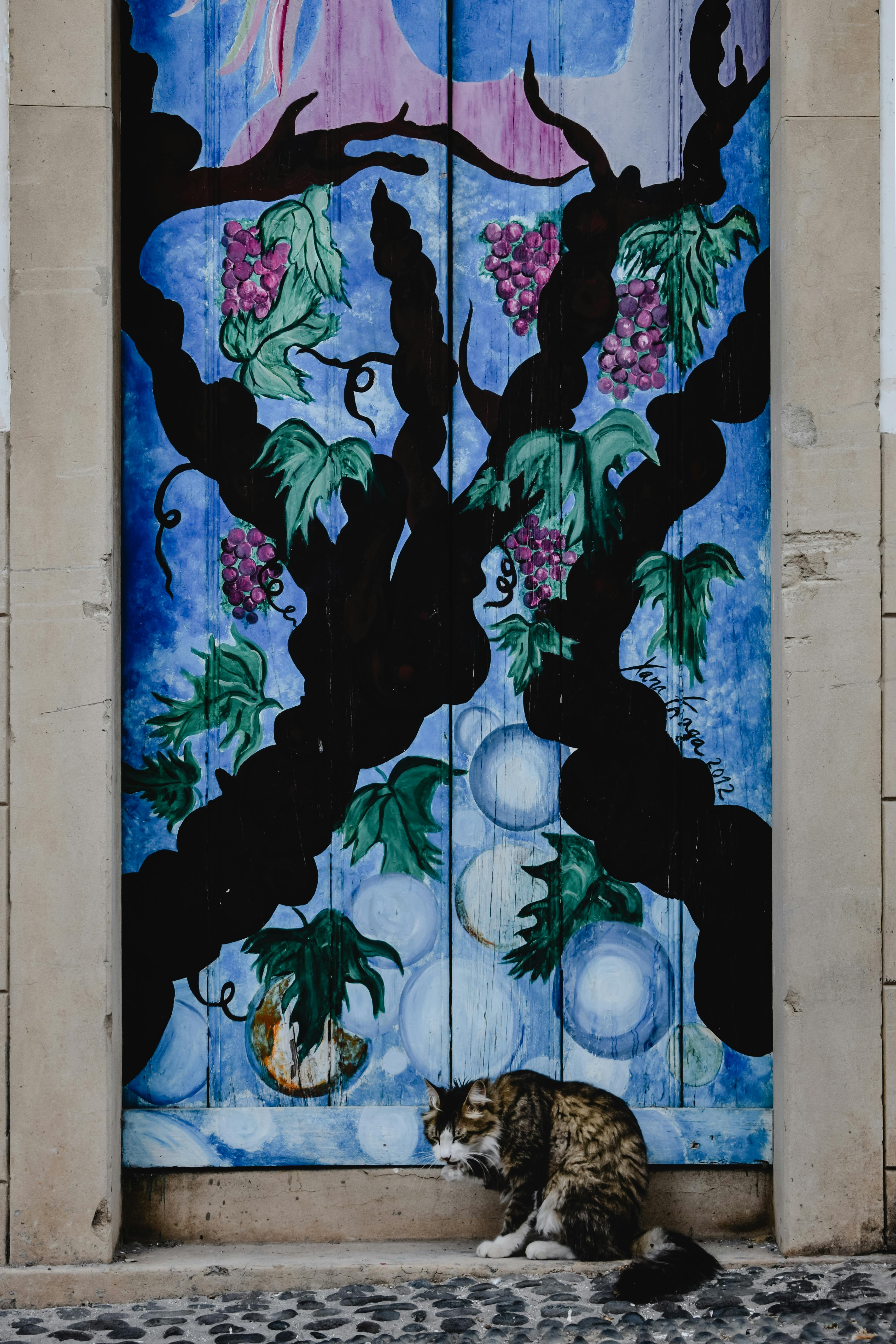 Free Cat Sitting in Front of a Door Stock Photo