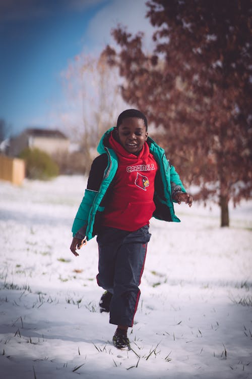 Free stock photo of snow