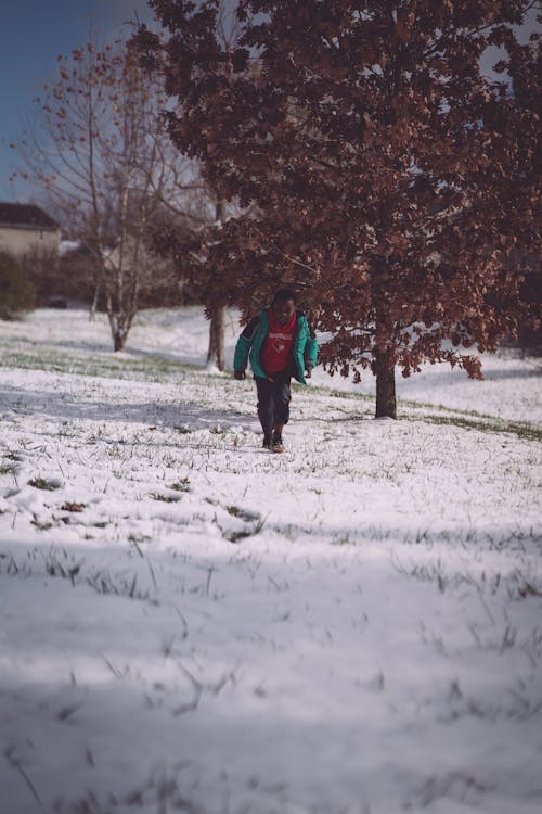 Free stock photo of snow