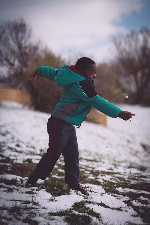 Free stock photo of snow