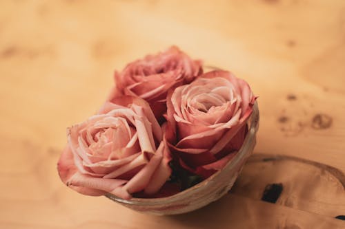 Pink Roses in a Bowl
