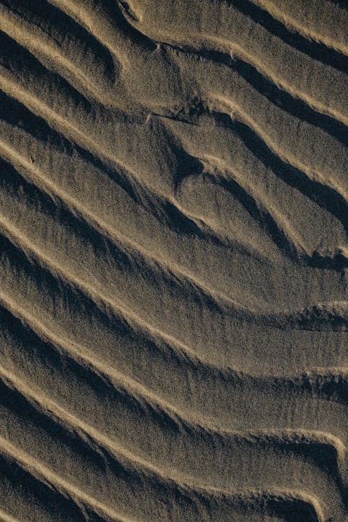 人の影と茶色の砂