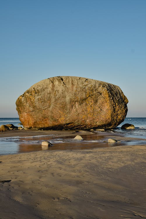 grátis Brown Rock Na Praia Foto profissional