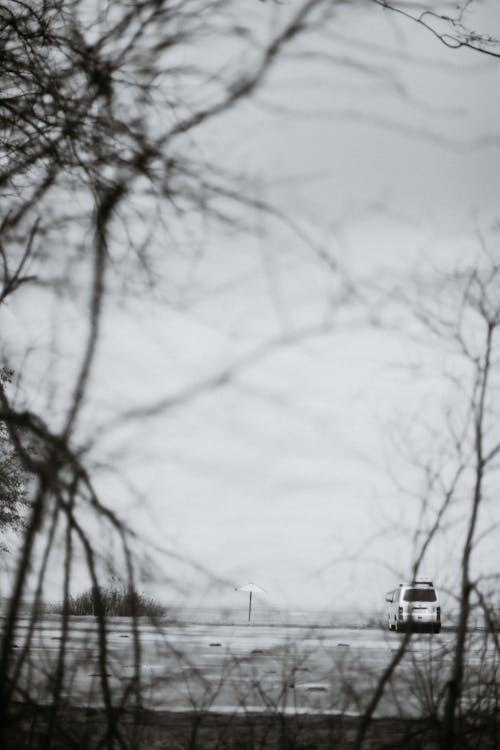 Free Leafless trees against vehicle under gray sky Stock Photo