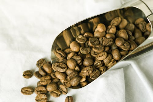 Free Brown Coffee Beans on Stainless Steel Bowl Stock Photo