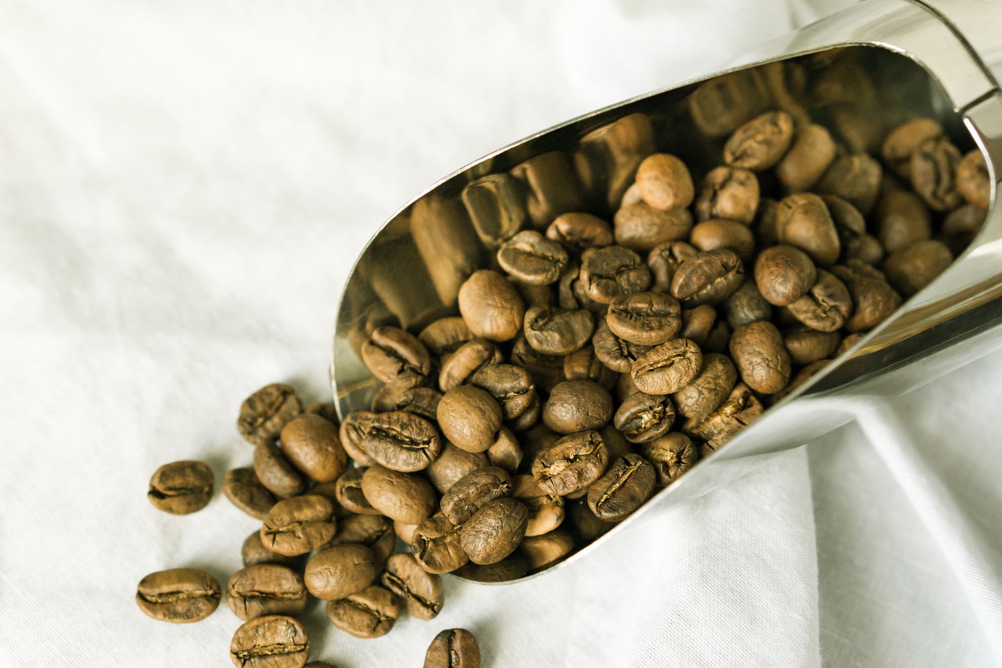 High-quality image of coffee beans in a steel scooper on a white background.