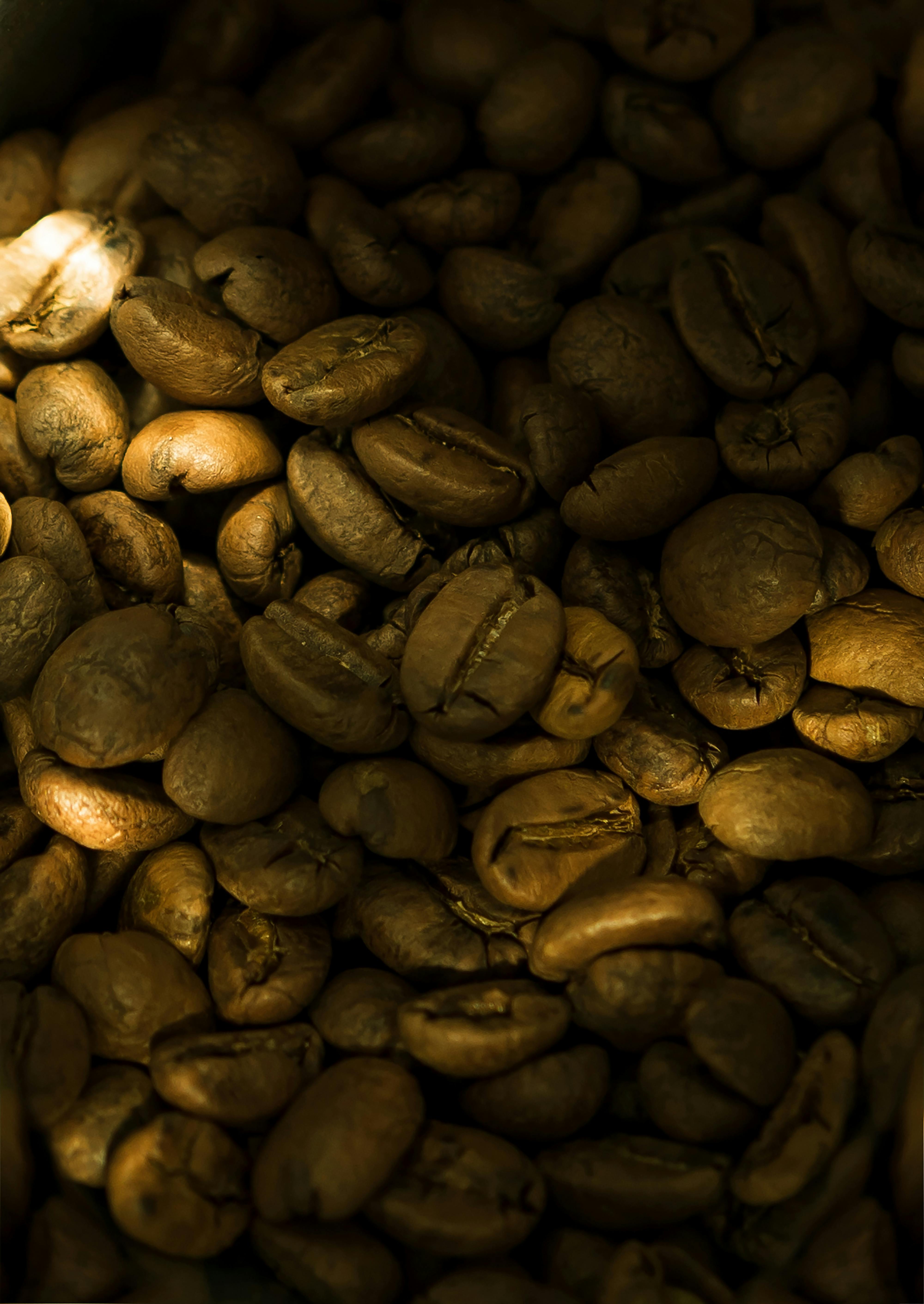 A detailed close-up of roasted coffee beans showcasing their rich texture and aroma.