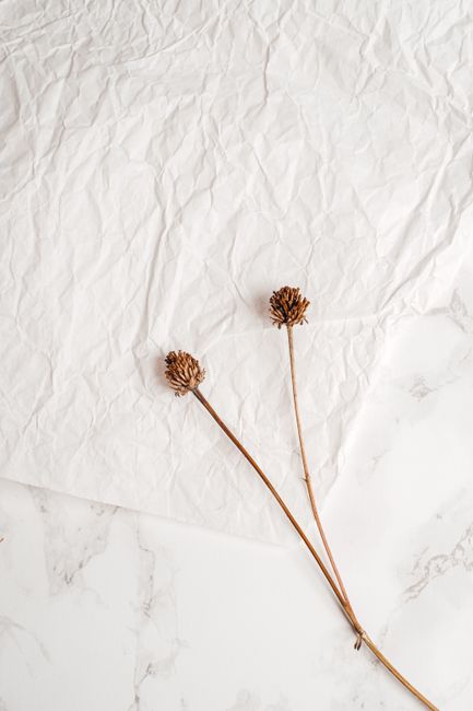 Minimalist composition featuring two dried flowers on crumpled white paper over a marble surface.