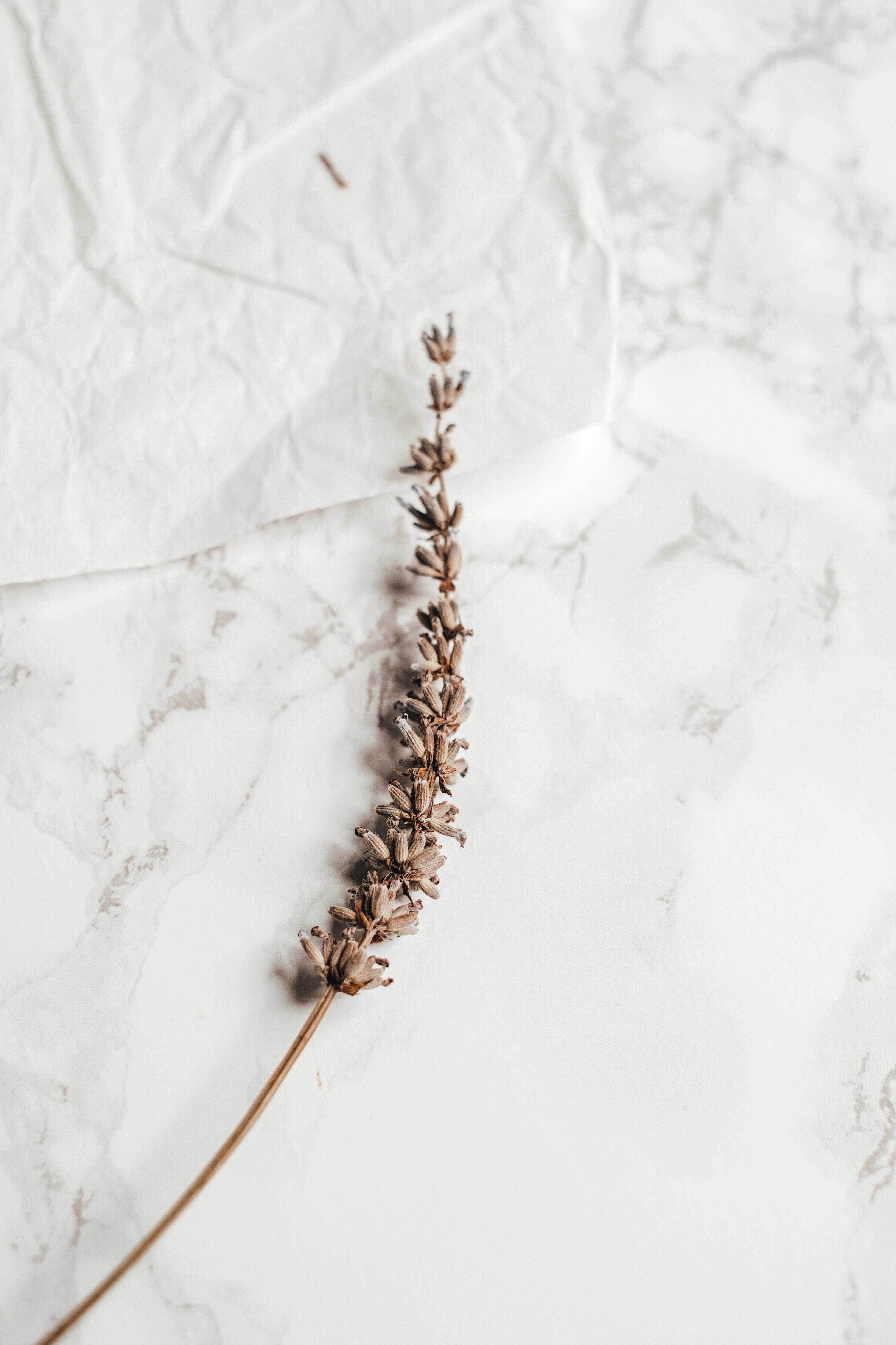 A serene shot of dried lavender on textured marble, perfect for aesthetics and design.