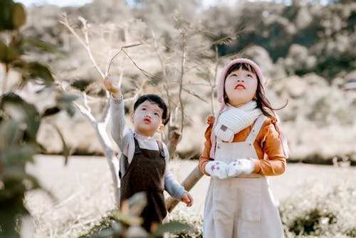 Curious Asian children playing in nature