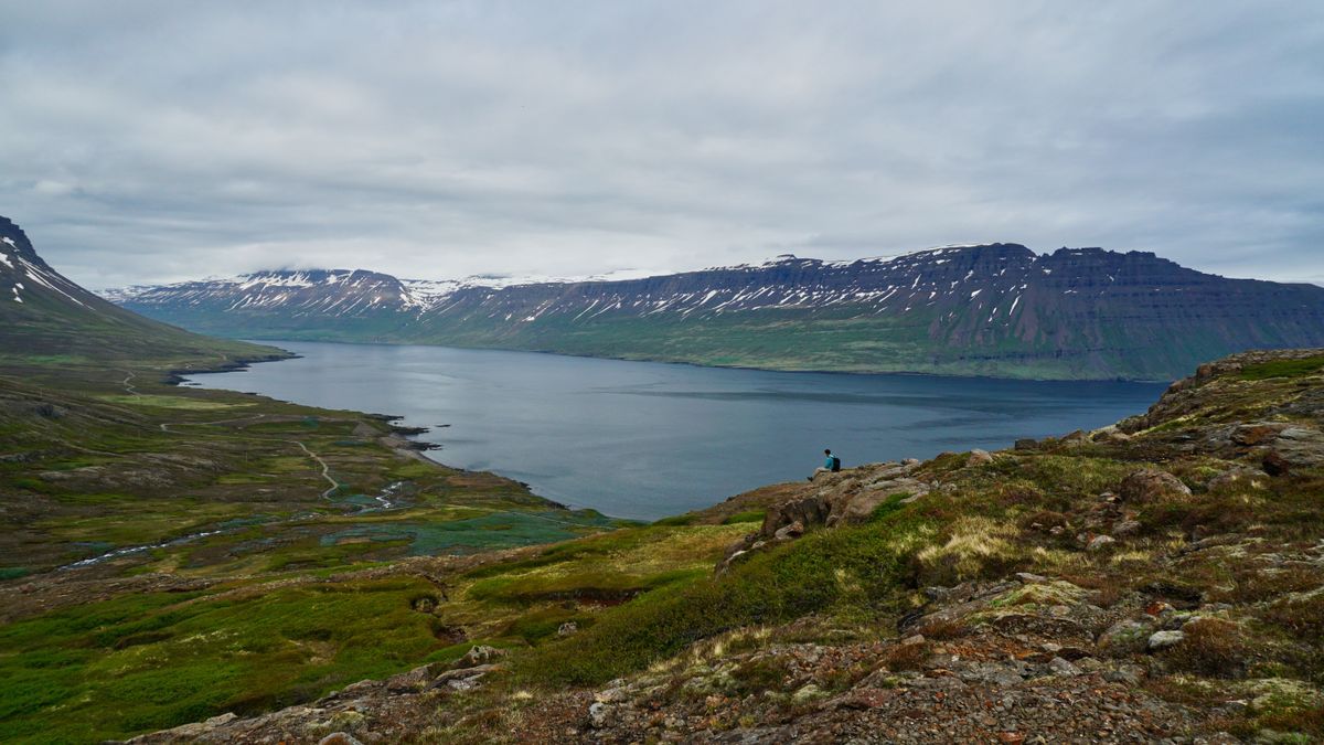 A fjord with snow-covered mountains and still water in Iceland