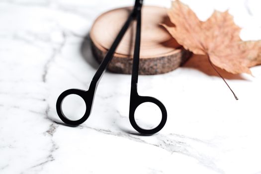Black Metal Scissors Near the Dried Maple Leaf 