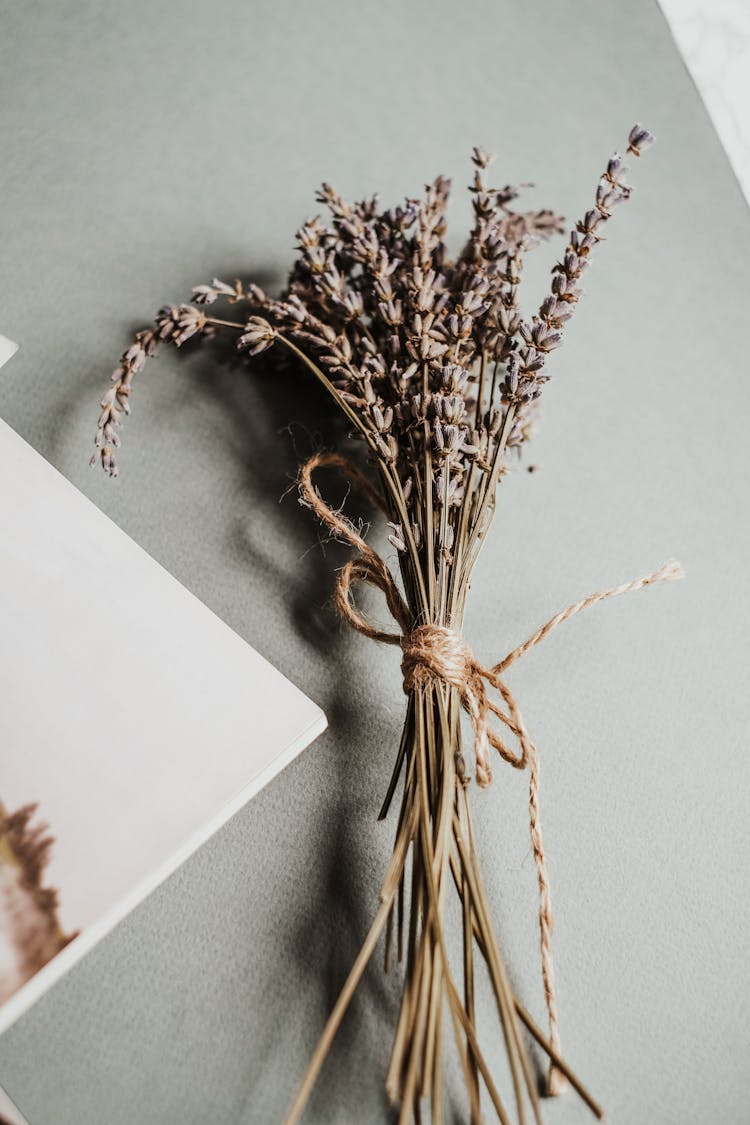 Dried Lavender Flowers On Gray Paper 