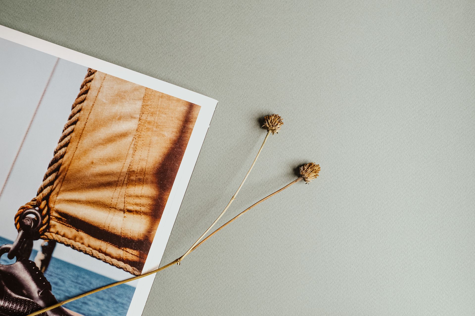 Small Dried Flowers Beside the Magazine Page