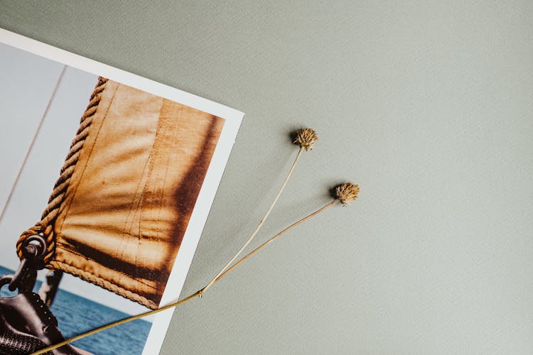 Small Dried Flowers Beside The Magazine Page 