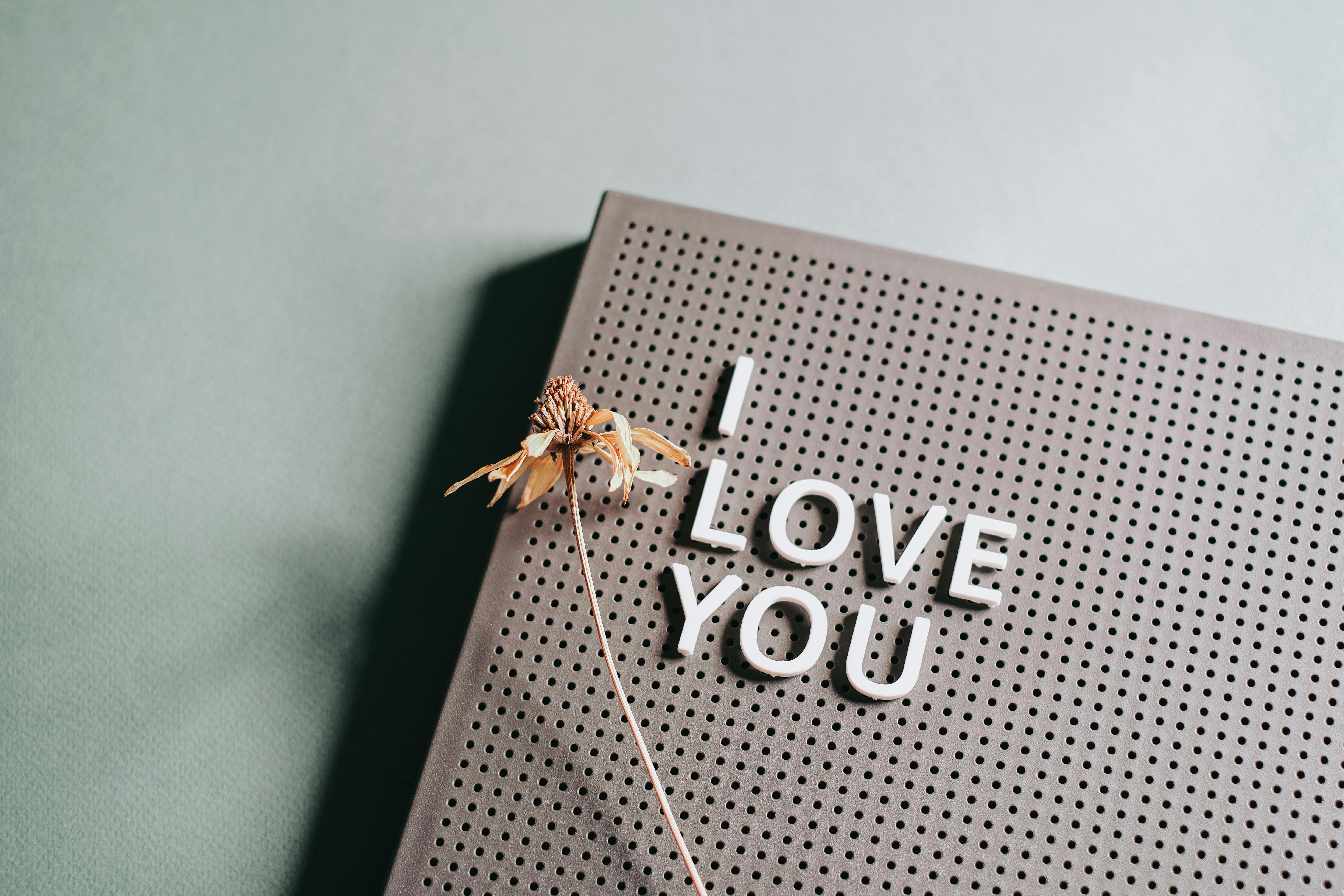 i love you message and dried flower on brown board