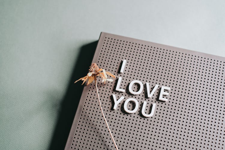 I Love You Message And Dried Flower On Brown Board 