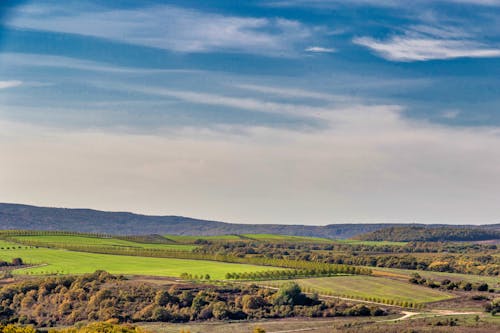 Kostenloses Stock Foto zu blauer himmel, grasfläche, grüne bäume