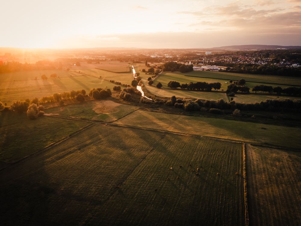 Aerial Shot of Green Grass Field during Golden Hour · Free Stock Photo