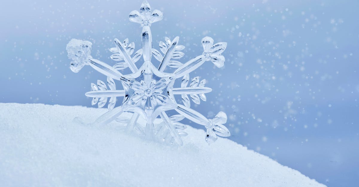 生活:北東初四轉陰天!春節連假最後週末天氣預測