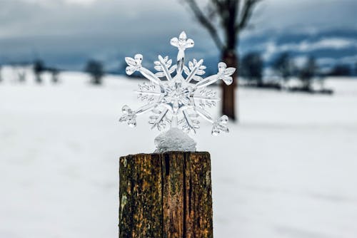 Snowflake on stump in countryside