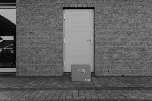 A grayscale photo of a package placed in front of a closed door on a concrete porch.