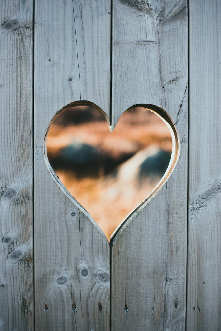 Heart Shaped Hole On A Wooden Fence