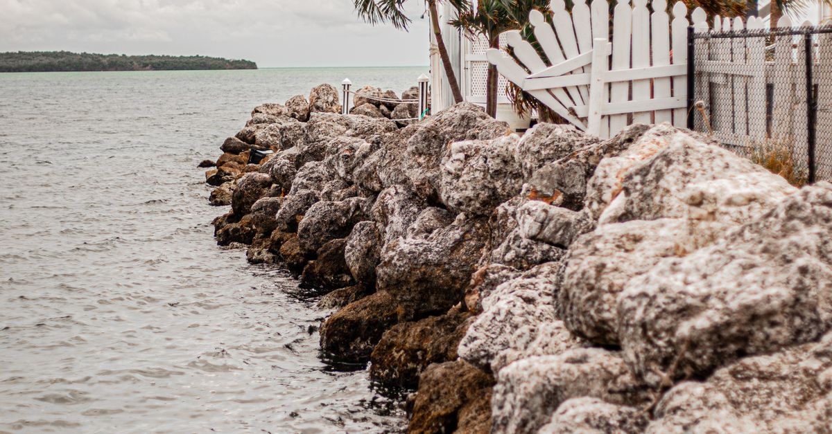 Photo by Sachith Ravishka Kodikara Scenic rocky shoreline with palm trees swaying in the breeze by the ocean.