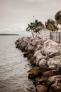 Photo by Sachith Ravishka Kodikara Scenic rocky shoreline with palm trees swaying in the breeze by the ocean.