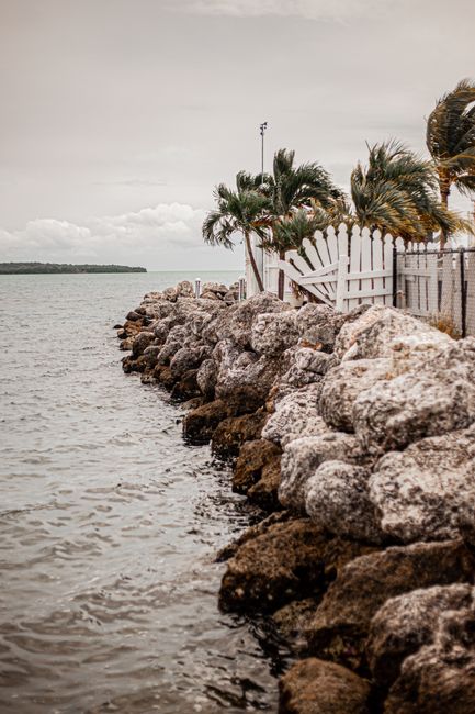 Photo by Sachith Ravishka Kodikara Scenic rocky shoreline with palm trees swaying in the breeze by the ocean.