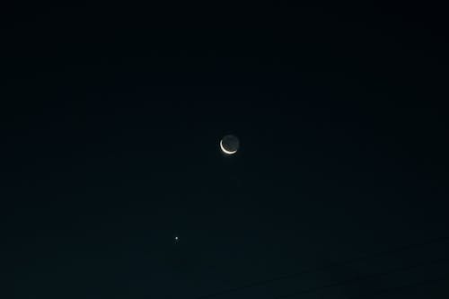 Free stock photo of crooked, early morning, moon