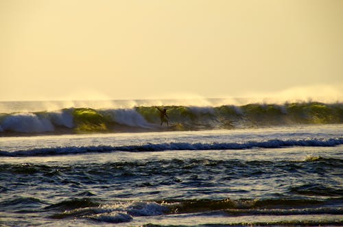 A Person Surfing