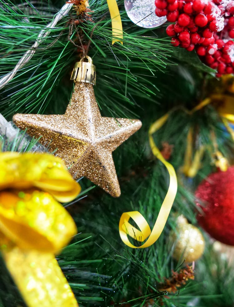 Gold Star Ornament On A Green Pine Tree