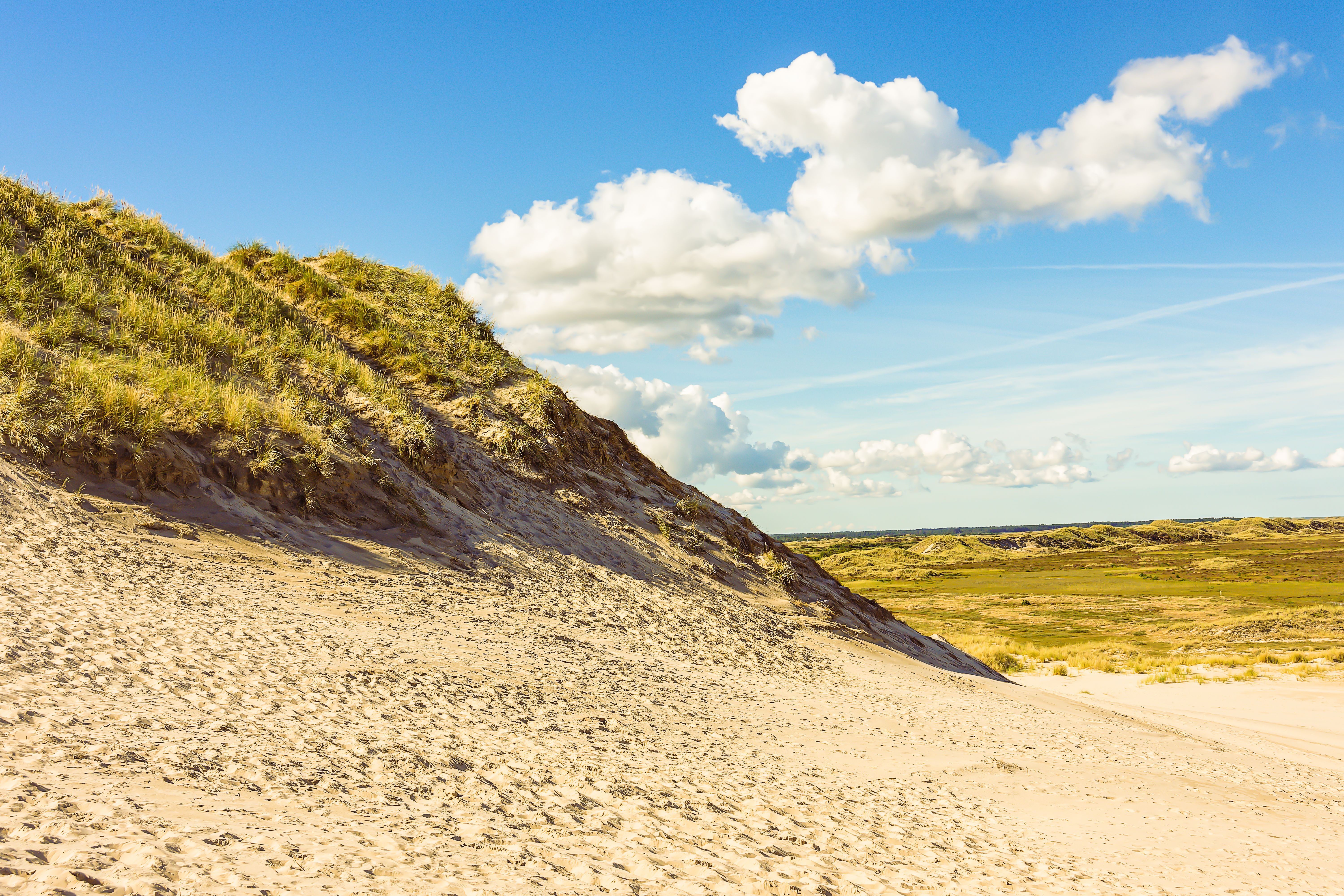 A motorcycle leans into a sweeping curve on a cliffside road overlooking a deep fjord, with misty mountains in the distance, capturing the essence of a Coolcations in Europe: Why Finland, Denmark and Ireland Are 2026s Hottest Destinations adventure