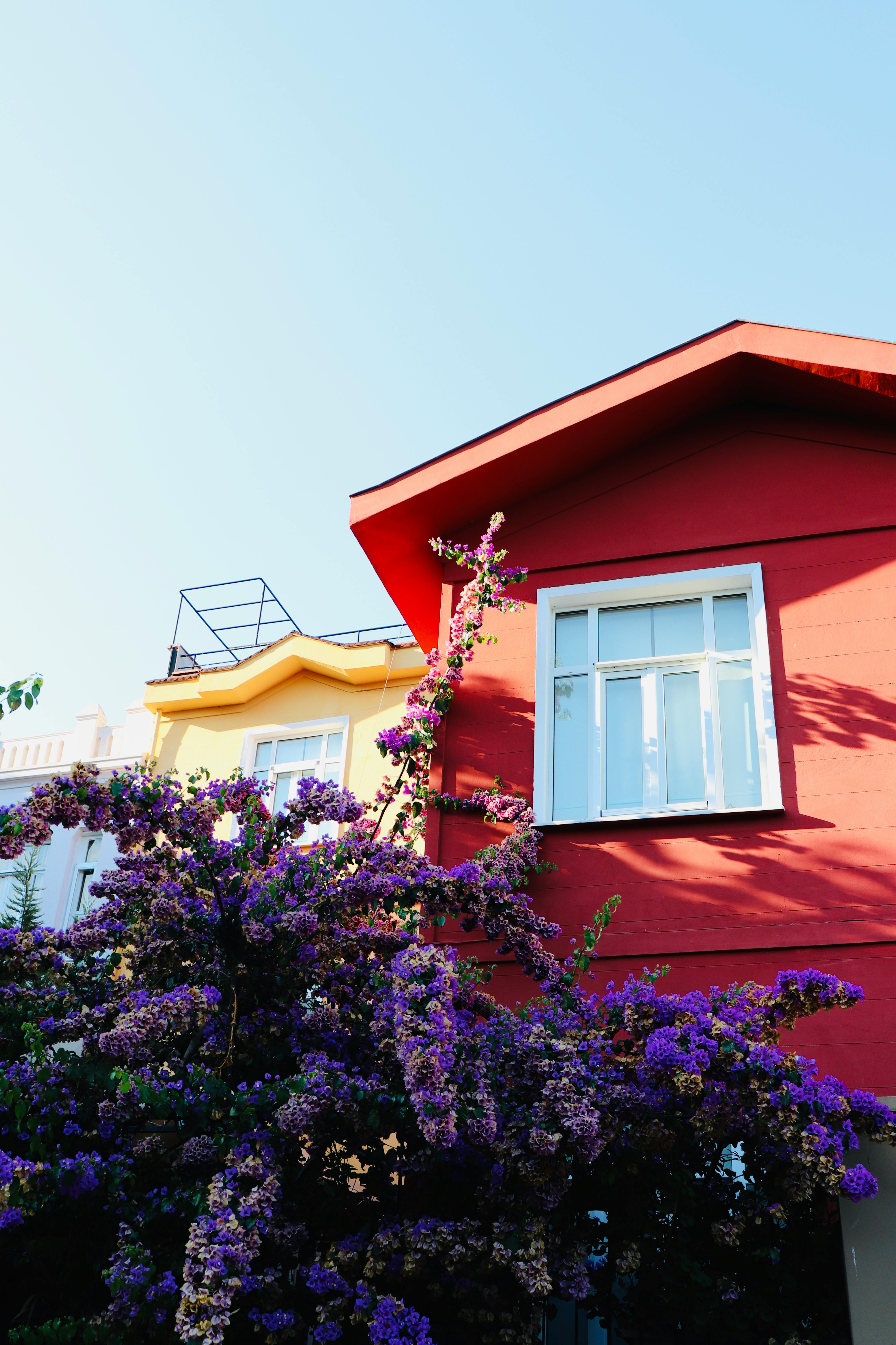 Photo by Begüm Kılıç