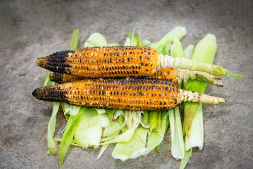 Ingyenes stockfotó élelmiszer, élelmiszer-fotózás, grillezett témában