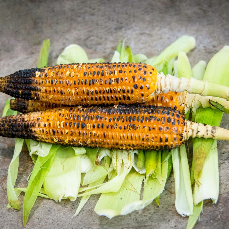 Instant Pot Spiced Sweet Corn and Roasted Poblano Dip