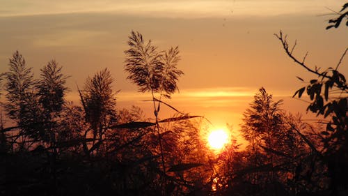 Darmowe zdjęcie z galerii z natura, zachód słońca