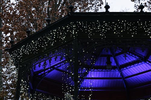 Free stock photo of advent, black and blue, lights