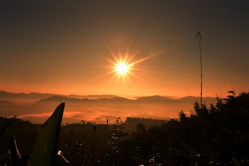 Gratis lagerfoto af aften, appelsin, baggrund