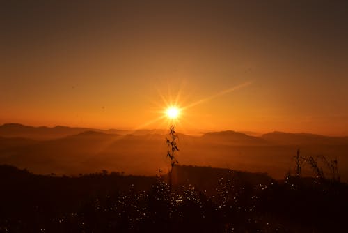 Gratis lagerfoto af aften, appelsin, baggrund