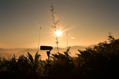 Gratis lagerfoto af aften, appelsin, baggrund