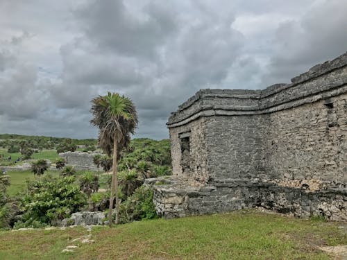 Ảnh lưu trữ miễn phí về bán đảo yucatan, cây cọ, cob